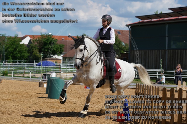 s_K3F06858.JPG